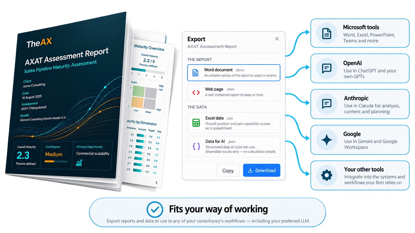 AXAT assessment report export options: Word, web page, Excel and AI-ready data, for use in Microsoft tools, OpenAI, Anthropic, Google and your other tools